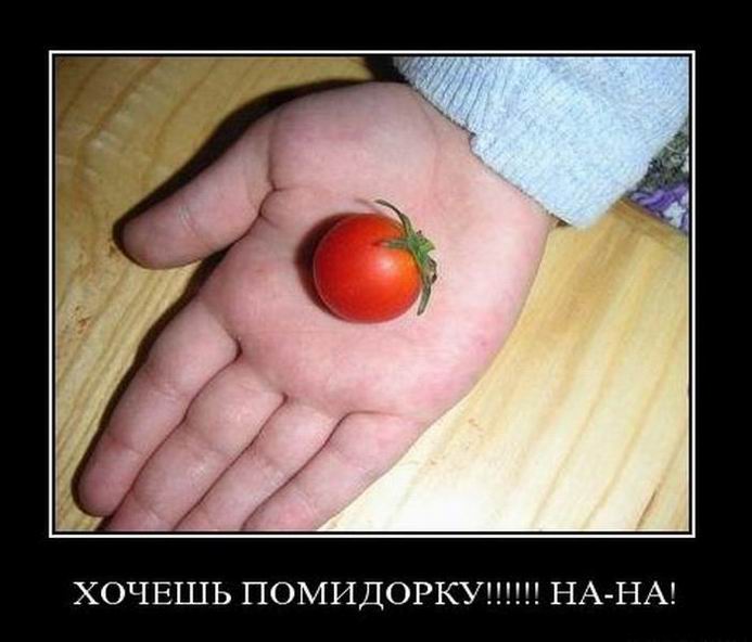 Хочешь помидорку? На, на!