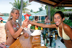 Неизменной популярностью пользуются освежающие коктейли — цитрусовые и тропические, со свежевыжатыми соками 